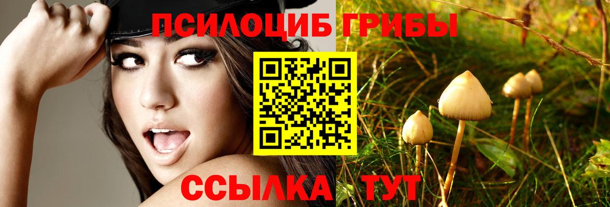 Сорочинск  Галлюциногенные грибы мицелий  Вход с VPN 